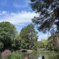 The lake used to be a boating lake and is now a haven for local wildlife.