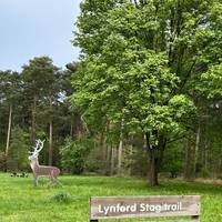 The Lynford Stag, however, is no more than a metal target stag, found by the workers when the area was being planted.