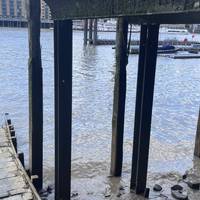 Pop down Alderman Steps to stand on the edge of the Thames