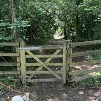 Follow the hedge line on the right. At the corner, go through the gate into a finger of mixed woodland.