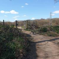 Walk through the gate, bearing straight along the field path and through the second gate.