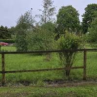 Following this path you will see a small site of trees planted by the local Scouts to try and improve the biodiversity of this grass area.