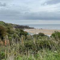 Start your walk from Coldingham Bay car park. You’ll need to head up the stairs soon to join the coastal path.