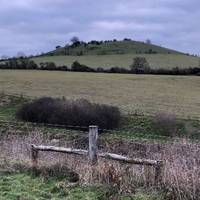 Turn left at the end of the field, if you look right you will see pegsdon hill where you will be in a short time