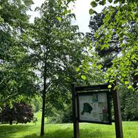 Holywells is a beautiful open space, with stunning trees and ponds. It’s a wonderful green hub for the community. Head into the park.