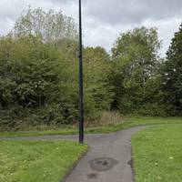 At the path junction, take the left path.