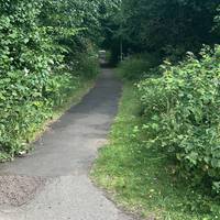 Continue left with the skate park on your right. Then follow the path around the skate park to continue.