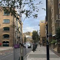 Continue up Wapping High St. Can you spot any street trees along the way?
