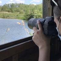 There are lots of bird hides along the trails. You can rent binoculars from the SWT centre for £3. But there’s plenty to see without.