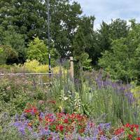 Exit the station and turn left to walk down and through the community garden. Take a moment to decompress from your train or bus trip.