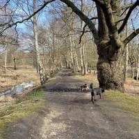 Start by Jack’s Hill car park, north side. A wide path starts at the end of the car park and this smaller path on a ridge is on the left.