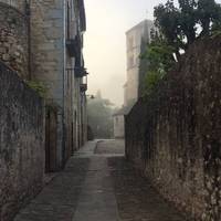 What a lovely foggy morning!