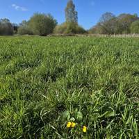 The route is step and obstruction free and is mainly along wide concrete or compacted gravel paths.