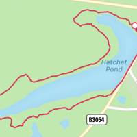 A circular jaunt around Hatchet Pond, New Forest National Park, Hampshire. You can start from a few different car parks.