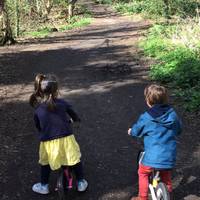 Perfect walk with young ones. 30 mins drive from London, free parking on streets next to wood, easy loop and lots of fun.