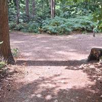 Continue along path, upon reaching the fork, take the right path