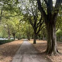 Follow this path with the Wildlife park on your right - can you see any animals through the fences?
