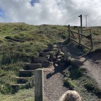 Follow the steps up and onto the coast path, marked by an acorn finger post to signify the national trail.
