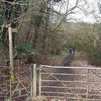 On the right, opposite houses take the path signposted Mauldslie Road. Wear your wellies or stout boots. Very muddy section