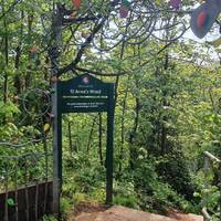 Entrance to St Anne’s Wood for this walk is on new Bridge Road, on the opposite side to the play area.