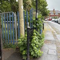 Pass by the public footpath to your left and continue forward