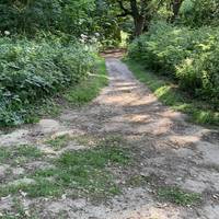 And then turn left into the woods