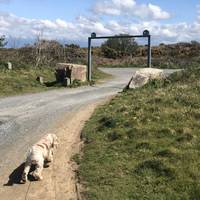 Park at Wheal Kitty car park and walk back out of the entrance.  Then turn left.