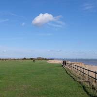 Continue into the field along the cliffs. There are multiple nature and history trails through out The Naze.