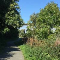 Continue up the path towards the bridge. The path is completely flat. It is popular with cyclists too in summer. 