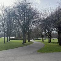 Take the left hand path in between these trees.