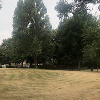 The park has a surprisingly large open green space surrounded by mature trees.
