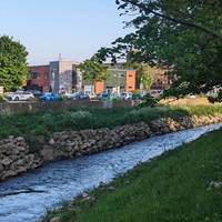 The River Leen flows through some of the most urban parts of the city and brings lush green plants, trees birds and wildlife with it.