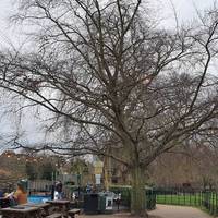 Take the pathway that goes past the playground, recently refurbished with London Marathon funding by the friends group.