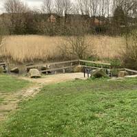 By now you will see the water and lovely reeds, and if you are lucky maybe some ducks and moorhens. The are some handy dandy benches here.