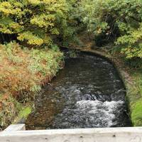 It is worth taking a moment to view the rushing river below you as it flows towards Manchester city centre. Continue along the stoney path.