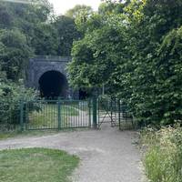 Go through these gates at the rear of the park. Again, mobility aids may struggle to get through here.