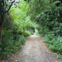 Continue along the woodland path, a welcome change from the built environment.