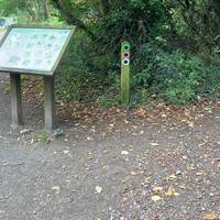Head towards the gate, following signs for the wellbeing walks and continue through the gate