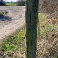 Come out of the field & turn right. Continue along the road for a short distance.