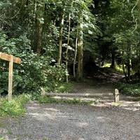 Facing Lake Windermere, turn left and head on the gravel/dirt path into the woods, signed on the finger post to the viewing station.