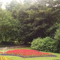 The beautiful flower constellations are taken cared of by park personnel & the local volunteers 🌺 - so pretty! 