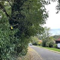 Keep following the road as it gently bends left.