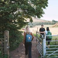 Take a left through the gate, these field have livestock in them so keep an eye on your dog