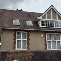 Observe martins and the like flitting in and out of the eaves