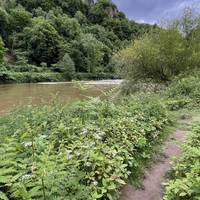 You may well have heard the rapids on the River Wye before you see them. Thousands of canoeists navigate these rapids every year.