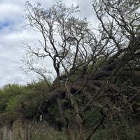 The park is described as a ‘wildlife oasis’ with a ‘rich history’, dedicated to the preservation & enjoyment of nature 🧚🏻