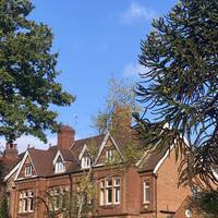 Wander through the St Agnes conservation area, streets lined with beautiful and unique Victorian, and Edwardian houses.
