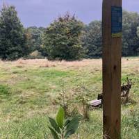 You’re almost at the highest point of Allestree Park and half way through the fixed points!