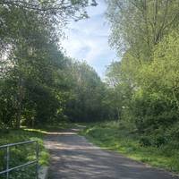 It will open up to this big path surrounding by trees and hedges.