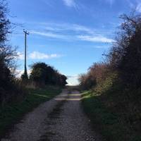 The track goes up a hill, turn back for awesome views or wait patiently until you head back towards the coast.